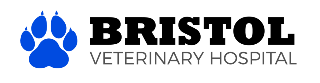 Bristol Veterinary Hospital